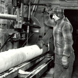 Employee of Northern Wood Preservers, 1955