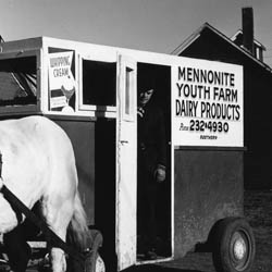 Old Dobbin Hauls Milk, May 1964