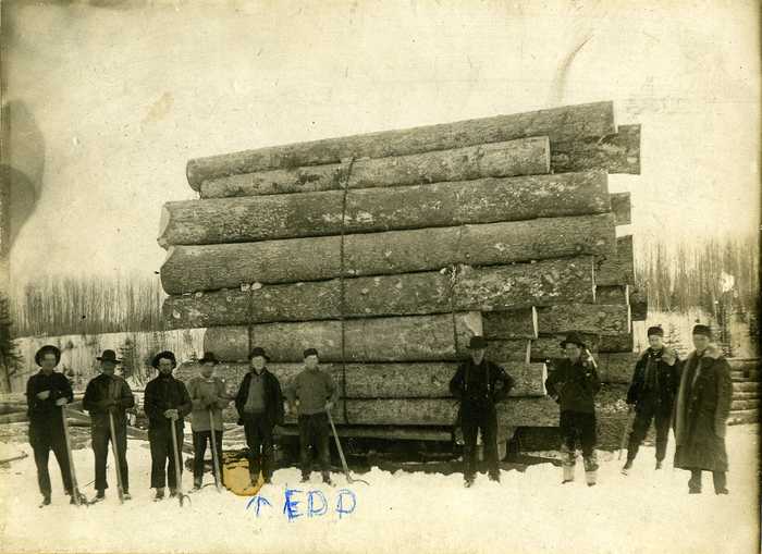 Load of Logs for Transport
