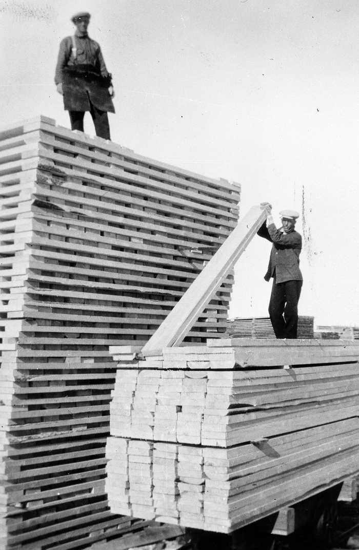 Klaus Bergen Piling Lumber