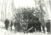 thumbnail for Crew of Lumberjacks Near Prince Albert