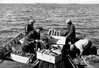 thumbnail for Commercial Fishermen Unloading Catch