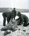 thumbnail for Commercial Fishing-Ice Fishing