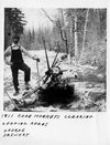 thumbnail for Clearing Logging Road