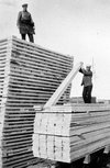 thumbnail for Klaus Bergen Piling Lumber