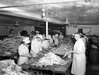 thumbnail for Women on Assembly Line Cleaning Meat