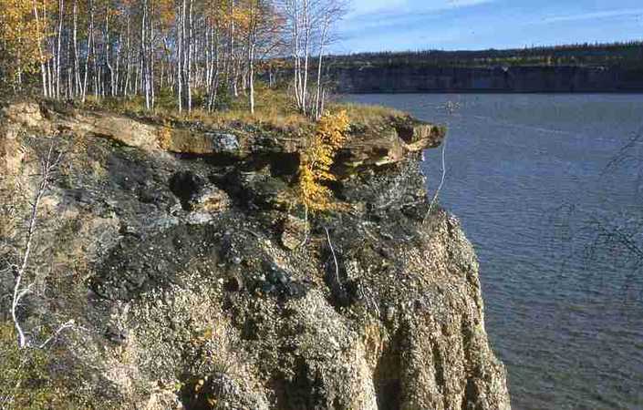 Cretaceous sandstone and coal - near Mackenzie River