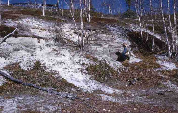 Outcrop of Cretaceous sandstone of Sans Sault group