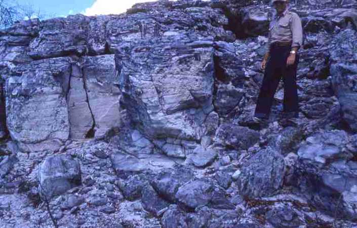 Close up of Cretaceous sandstone -- sans Sault group