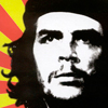 What Would Che Do? Turning the Tide Alternative Bookstore. 
