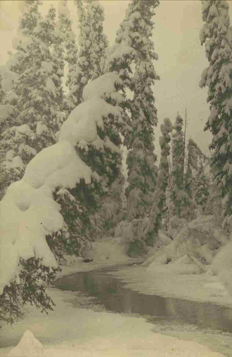 "Unspoiled Nature in Winter", Berg Photograph Collection
