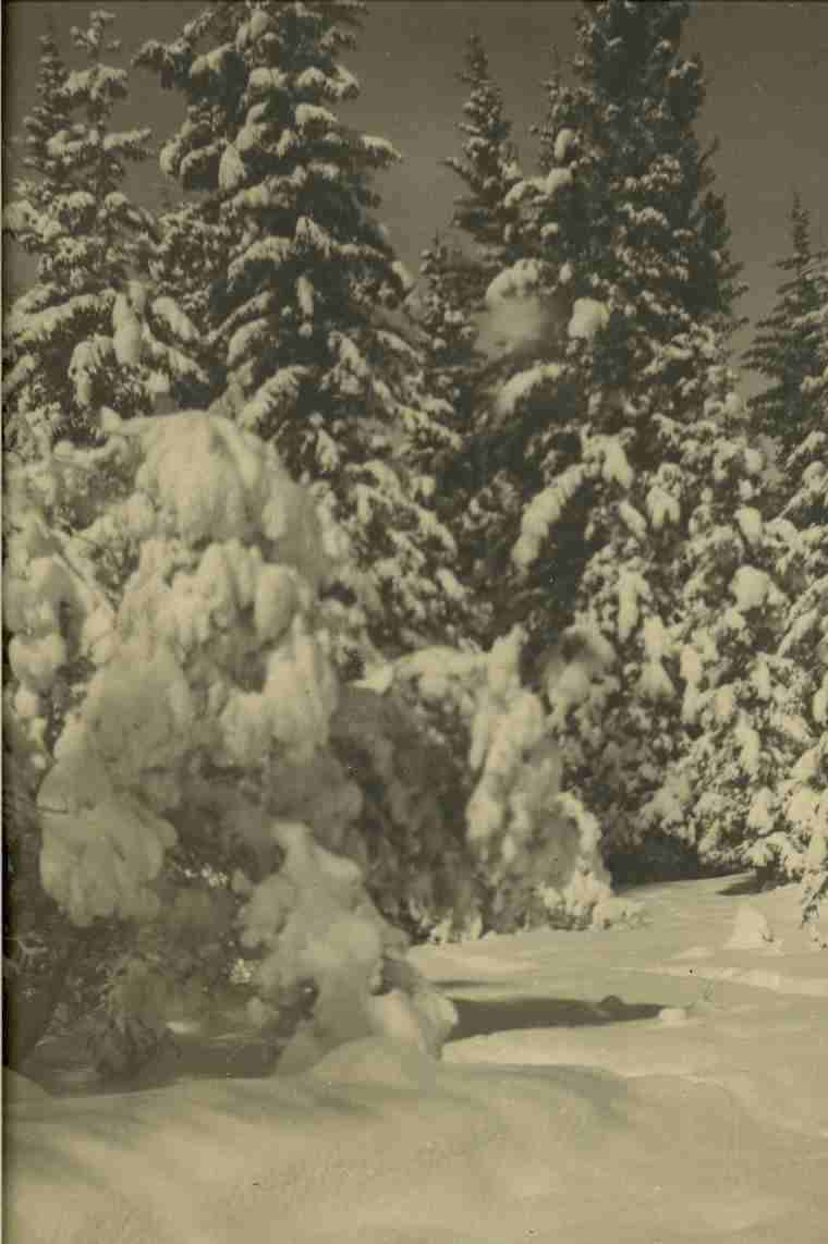 "Winter Wonderland", Berg Photograph Collection