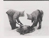 Eskimo Men Skinning a Seal, Institute for Northern Studies fonds