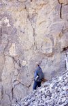 Vertical brecciation in a "pipe" in Devonian Bear Rock formation, W.O. Kupsch fonds