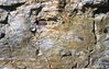 Stomatolitic chert interbedded with dolomite, W.O. Kupsch fonds