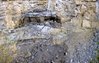 Well bedded Bear Rock exposed in sink hole - Station RM17, W.O. Kupsch fonds