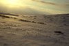 Snowy landscape between Churchill and Cape Churchill, MB., Hans Dommasch fonds
