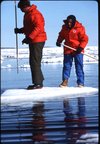 Tracking team members standing on ice chunk., Hans Dommasch fonds