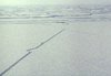 Aerial view of ice road. – Mackenzie River and Delta., Hans Dommasch fonds