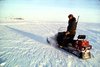 Polar bear monitor on ski-doo., Hans Dommasch fonds