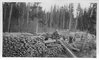 Woodpile for fueling steamers near the mouth of the Peace River,  Alberta., Institute for Northern Studies fonds