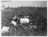 Indian camp on the shore of the lake at Fort Resolution, NWT., Institute for Northern Studies fonds