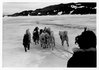 Dog Sled Team, Institute for Northern Studies fonds