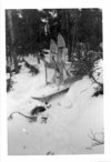 Dog Sled and Snowshoes, Institute for Northern Studies fonds
