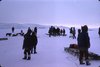 Crowd with Dogsleds, Institute for Northern Studies fonds