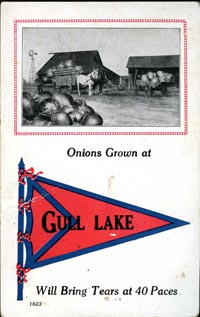 Onions Grown at Gull Lake ...