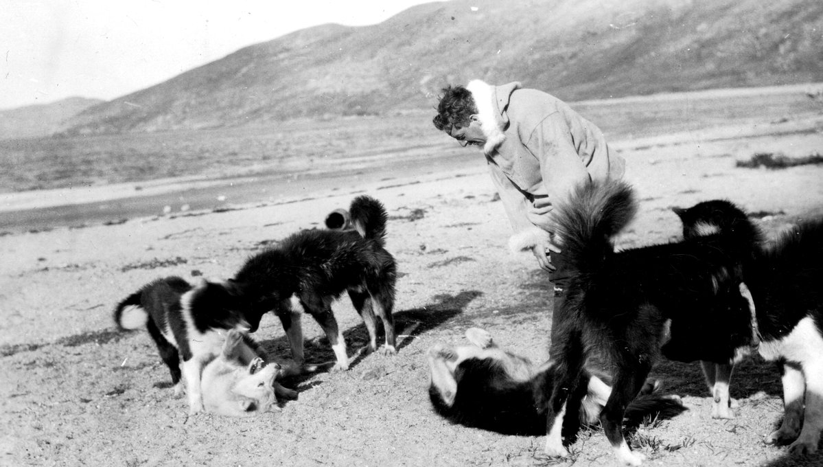 Husky Dogs - Sugluk Inlet, Institute for Northern Studies fonds