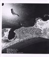 Aerial photo of Cole Bay - 1971, R.M.  Bone  fonds