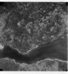 Aerial photo of Southend Reindeer, May 16, 1971., R.M.  Bone  fonds