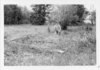 Remains of cabin, Sandy Point, B.L. region. 7/71, R.M.  Bone  fonds