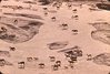 Air view of Caribou herd migrating., R.M.  Bone  fonds