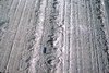 "Glacial Striae and Crescentric Markings", Institute for Northern Studies fonds