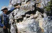 Stomatolitic chert interbedded with dolomite