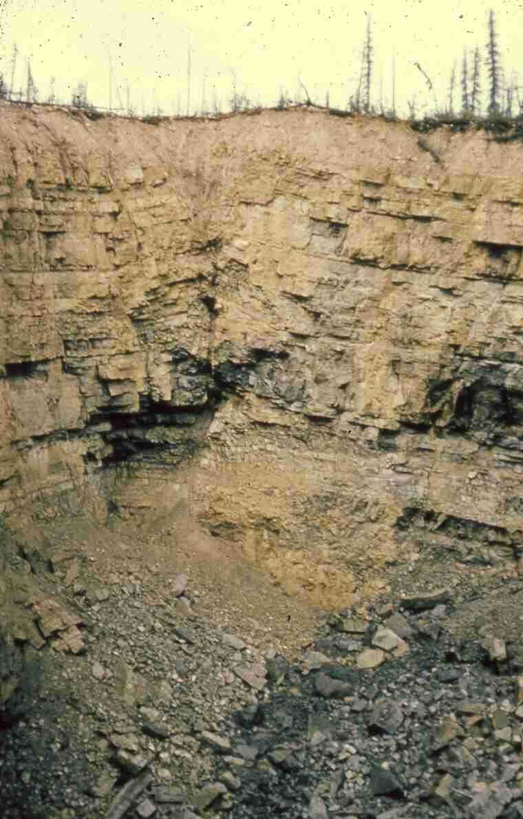 View into sinkhole showing fault in Devonian Bear Rock limestone