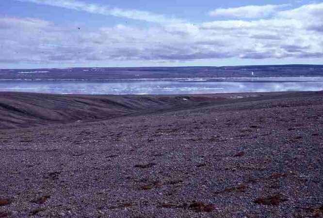 General view of Pell Creek section, Devonian Bird Fiord formation,
