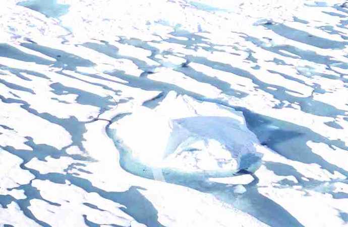Aerial view of top of glacier. 																																					