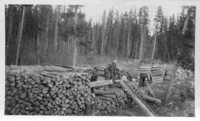 Woodpile for fueling steamers near the mouth of the Peace River,  Alberta.
