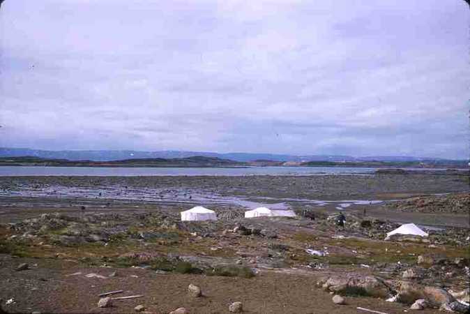 Exposed Tidal Flats from Apex Community