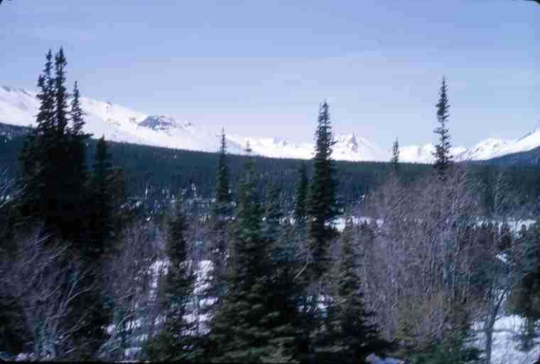 Scenery along White Pass and Yukon Railway