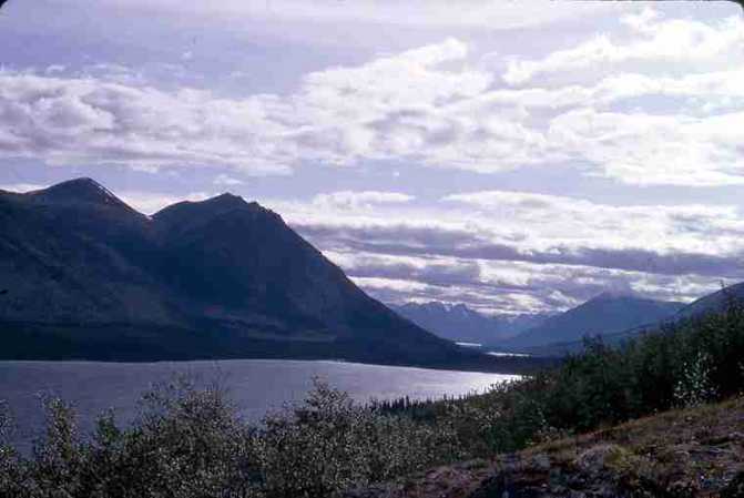 Lake Bennett & Coast Ranges