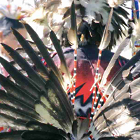 First Nation Pow Wow - Beardy's and Okemasis Nation International Pow-Wow, August 24-26, 2001