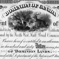 Scrip coupon for $160 (1885)