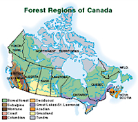 Map of the Boreal Forest, Couresy of Environment Canada